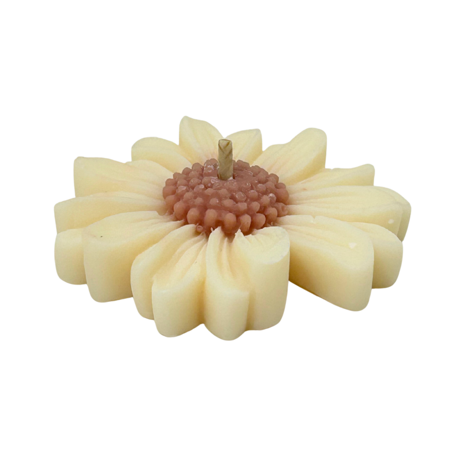 Sunflower-shaped candle on a white background