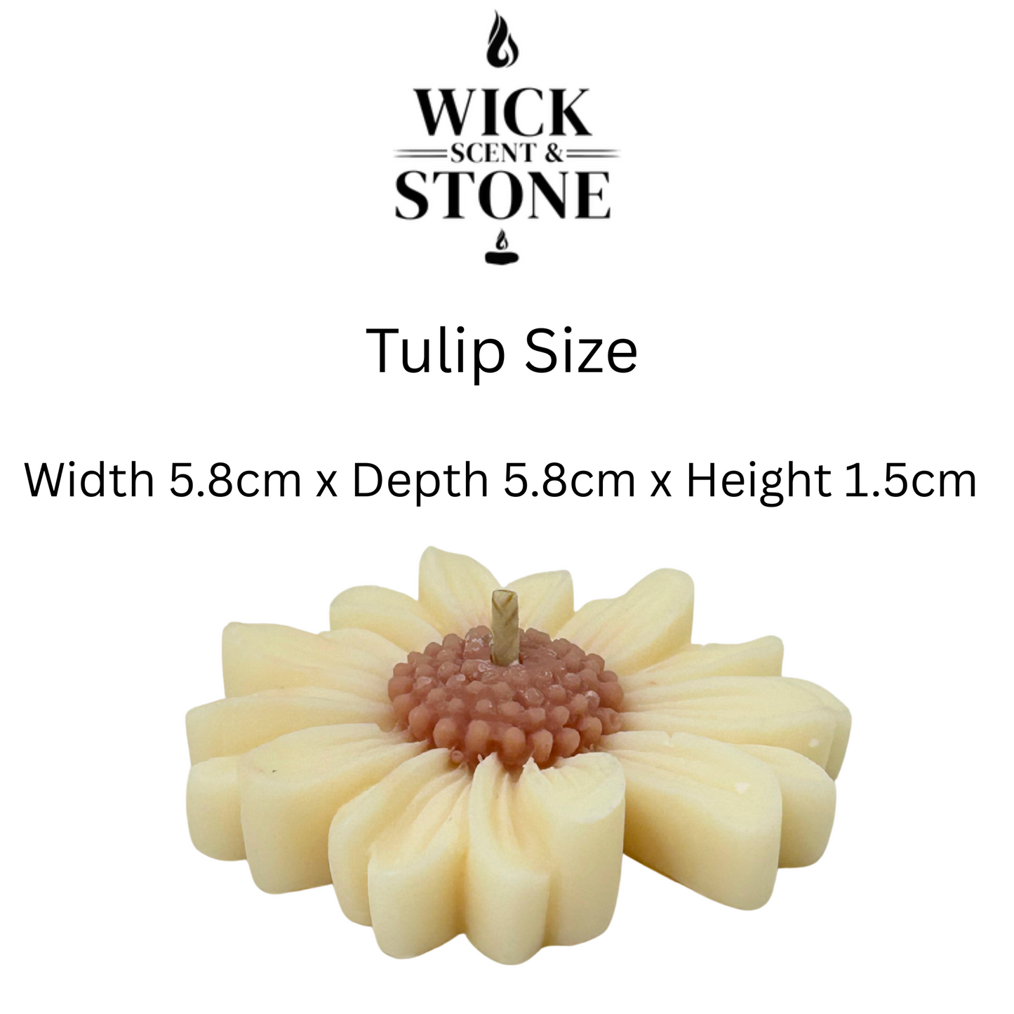 Daisy-shaped candle with dimensions and Wick Scent Stone branding on a white background