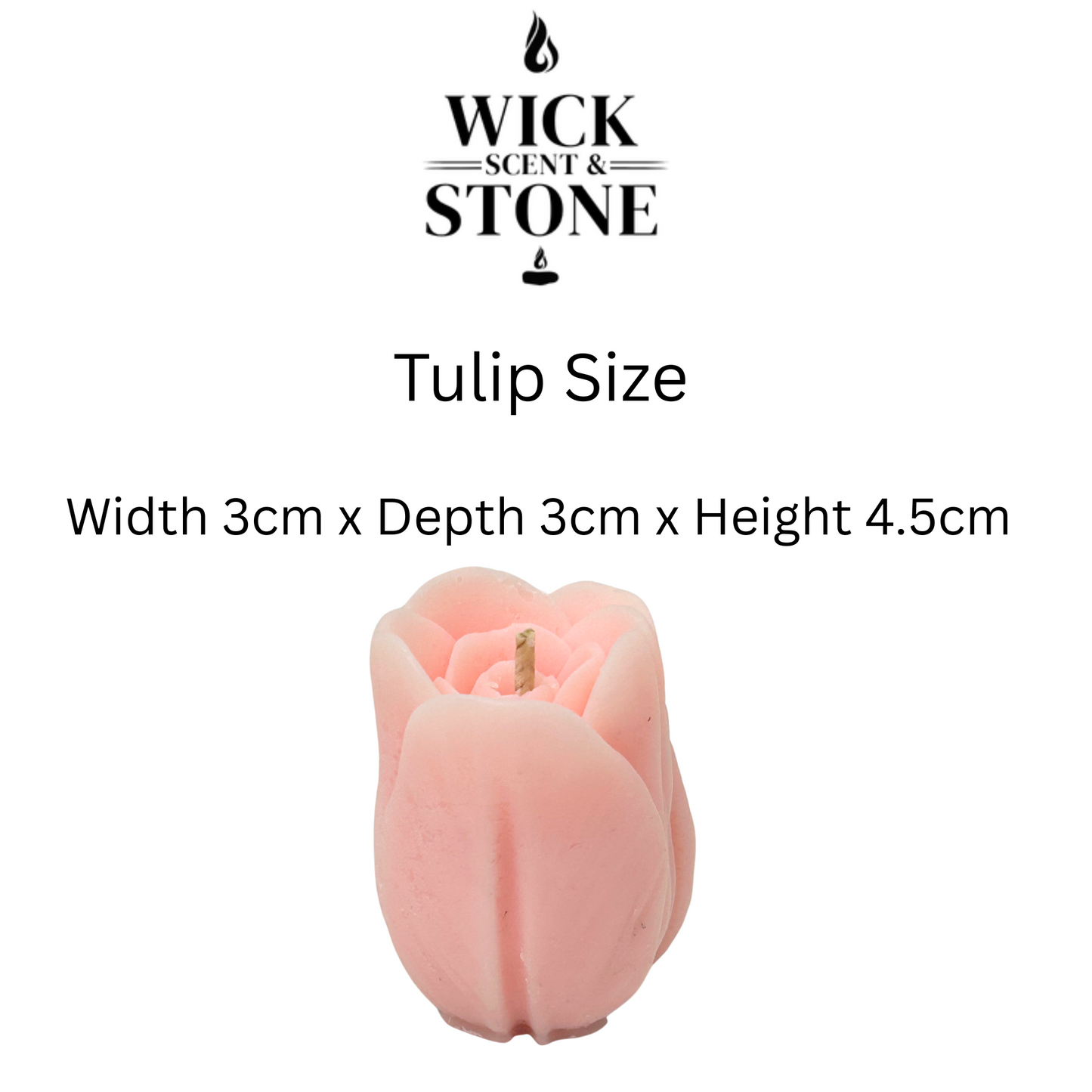 Pink tulip-shaped candle with dimensions on a white background, featuring the Wick Scent & Stone logo.