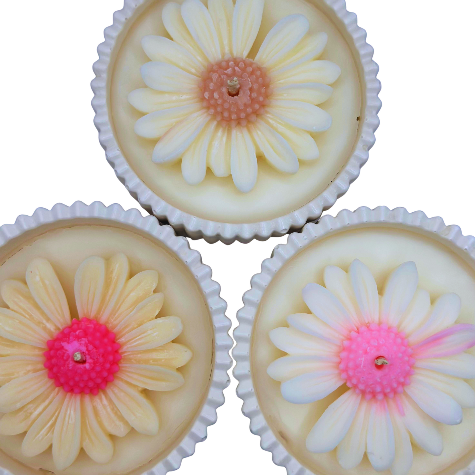 Three small daisy candles in jars on a white background