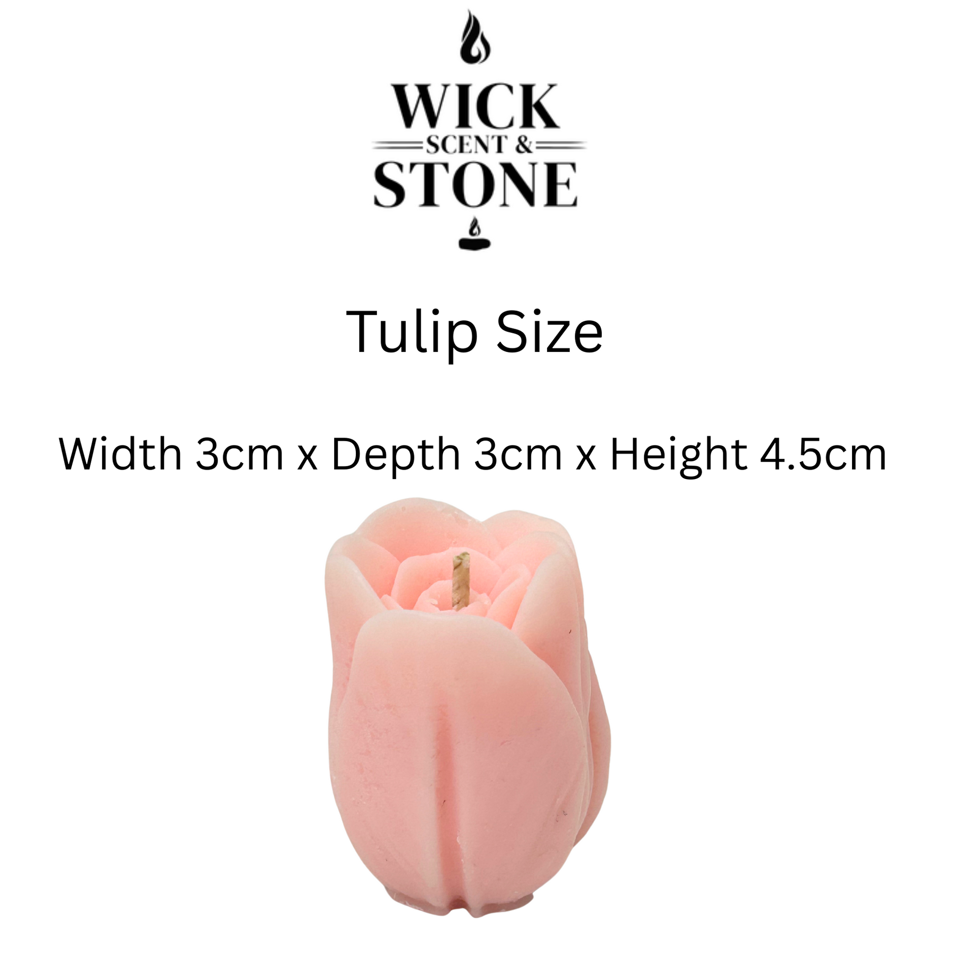 Pink tulip-shaped candle with dimensions on a white background, featuring the Wick Scent & Stone logo.