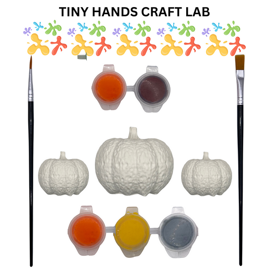 Craft supplies for pumpkin painting including pumpkins, paint, and brushes with 'Tiny Hands Craft Lab' branding.